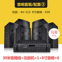 Shinco/新科 K31会议室音响套装全套家用KTV音箱套装话筒卡包功放(黑色 8寸套餐3)