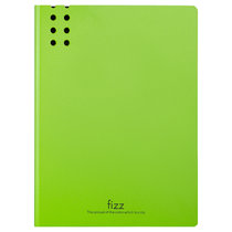 飞兹(fizz) FZ002385-DL A4（背宽20mm） 单强力文件夹 (计价单位：个) 绿