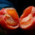 鲜时小令【真选定制】普罗旺斯西红柿沙瓤番茄小西红柿5斤装净重4.5斤 沙瓤口感 自然成熟 酸甜可口 顺丰发货