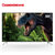 长虹（CHANGHONG）50Q3T 50英寸超轻薄双64位全程4K超清智能液晶平板电视