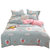 贵晨家纺保暖雪花绒四件套三件套床单被套床上用品(初恋草莓 单品被罩150X200cm)