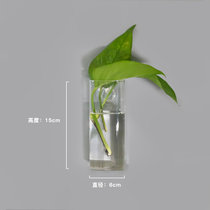 挂壁挂水培绿萝花瓶墙上水养植物玻璃瓶器皿挂墙创意透明花盆装饰(长方管)