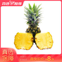 云南香水小菠萝3斤/5斤/9斤装单果350g起(3斤)