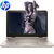 惠普（HP）Pro x360 M4Z17PA 13.3英寸翻转笔记本 i5-5200u/4G/128G/Win8