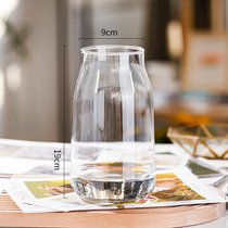 北欧ins风简约玻璃花瓶水培鲜花插花小花瓶客厅餐桌水养创意摆件(003（透明） 大)