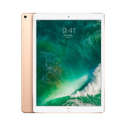 苹果（Apple）iPad Pro 10.5英寸平板电脑 512G WLAN版/A10X芯片/Retina屏/WIFI版