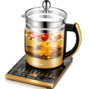东菱（Donlim）DL-Y200多功能养生壶加厚玻璃自动煎药花茶热奶器分体煮茶电热