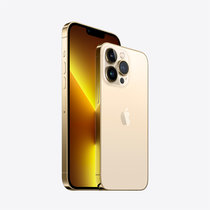 Apple苹果 iPhone 13 Pro 支持移动联通电信5G手机 双卡双待全网通手机(金色 256GB)