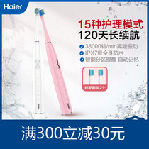 海尔（haier）电动牙刷成人声波震动牙刷 牙龈护理 情侣电动牙刷 自带2个牙刷头 HB551/01 HB551/02(HB551/02)