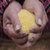【助农扶贫】陕西的“米脂黄小米”，胃不好的朋友来一碗 米脂黄小米五斤装