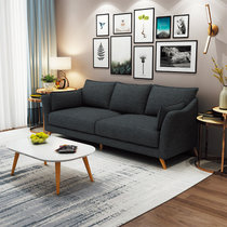 TIMI天米 北欧沙发 布艺沙发 家用小户型沙发组合(深灰色 小双人位)