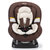 美国graco 汽车婴儿童安全座椅8H98 双向可躺卧 适合0-4岁(咖啡色)