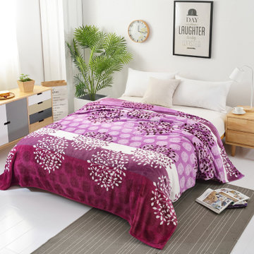 樵纪 云貂绒毛巾毯子 床褥垫 午睡空调盖毯(紫树)