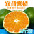 刘陶鲜果 宜昌青皮蜜桔柑橘 5斤(21-28个)第2张高清大图
