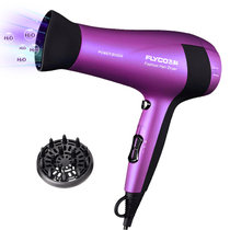 飞科（FLYCO）FH6618 电吹风机 （大功率负离子护发）(FH6618紫色)