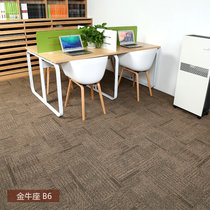 办公室地毯拼接方块地毯卧室满铺写字楼会议室台球室商用纯色地毯(金牛座B6)