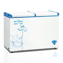 美的(Midea)BCD-221/271VMQ家用 商用 双温双室 冷冻冷藏 卧式双门冰柜 蝶形门内置玻璃门 展示(白)(271升)
