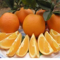 赣南脐橙5斤13-17个中果橙子新鲜当季水果手剥甜橙果冻冰糖橙批发包邮65-75mm(赣南脐橙5斤13-17个)