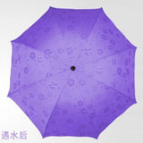 遇水现开花黑胶遮阳伞荷叶边拱形公主太阳伞黑胶遇水开花雨伞(紫色)