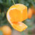 麻阳冰糖橙橙子水果新鲜当季整箱应季湖南包邮手剥果冻甜橙子(冰糖橙3斤小果)第2张高清大图