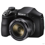 索尼（Sony）DSC-H300 便携长焦数码相机 35倍变焦长焦机(套餐四)