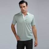 DANUO狄亚诺夏装新款男士商务休闲 双丝光棉修身短袖T恤(绿色-79 175)