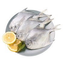 国联东海白鲳鱼600g 5-8条 银鲳鱼 平鱼 产地直供 国产 冷冻 袋装 生鲜 海鲜水产