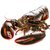 鲜活加拿大波士顿龙虾 大龙虾 支持闪送 限北上广地区(1400-1600g)
