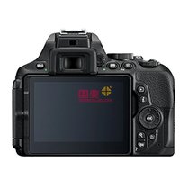 尼康（Nikon）D5600单反相机/套机(18-55mm )(套餐一)