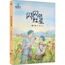 中国儿童文学大视野丛书•闪闪的红星
