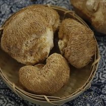 猴头菇袋装150g新货甘肃陇南康县土特产养胃菇食用煲汤菌菇