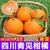 【爆汁】四川青见现摘5斤柑橘橘子果冻橙手拨橙当季新鲜水果，现摘包邮