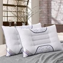 皇玉世佳家纺 磁疗保健枕芯枕头一只装 单人枕 购买一对请拍2(白色 一只装)