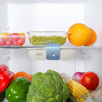 家用冰箱除味净化器 去味器神除味器 冰箱空气净化器(蓝色)