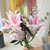北京杭州居家鲜花 办公室鲜花 按月送花 玫瑰鲜花速递同城送包月鲜花(紫色)