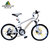 阿米尼山地车 幻影2000 24寸学生自行车 铝合金车架单车 21速双碟刹山地车自行车(消光白/棕标)