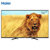 海尔（Haier）MOOKA/模卡 50A6M 50英寸 智能网络 电视