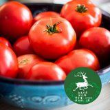 白鹿人家悦品鲜陕西有机西红柿2.5kg（仅限西安市区发货）