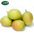 【食百味】新疆库尔勒香梨一箱 西域香妃梨 新鲜水果 免费配送 净重约9斤