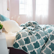 芳登(Fount) 保暖法兰绒毛毯绒毯子 床上用品印花空调毯多功能盖毯床单(菠萝)