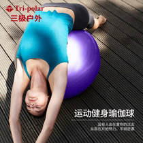 瑜伽球加厚初学者女***孕妇助产分娩儿童训练健身球tp1513(紫色 儿童)