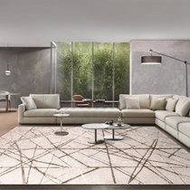 Saint Marco贝斯MT546地毯客厅土耳其进口欧式极简轻奢简约现代卧室床边毯沙发地垫家用160*230cm
