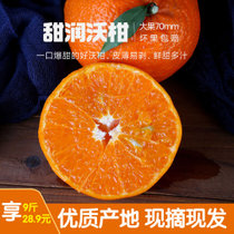 鲜游集武鸣沃柑9斤5斤大果70mm+蜜甜橘子新鲜水果皇帝柑橘当季砂糖桔子