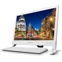 联想（Lenovo）AIO 310-20ASR 19.5英寸一体机电脑(白色 A6-9200/4G/1T/集显)