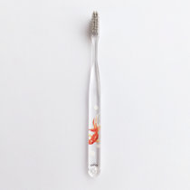 女士专用 银离子软毛牙刷小刷头 独立包装 旅游家用便携牙刷(R02 单只装)