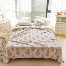 丹杰 珊瑚绒毯子床上用毛毯春秋法兰绒法莱绒床单沙发午睡毯铺床宿舍单人盖毯(菠萝驼)
