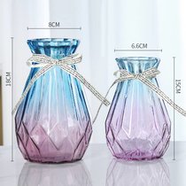 北欧创意玻璃花瓶透明水培绿萝植物玻璃花瓶家用插花客厅装饰摆件(15新诺+18新诺（蓝紫色） 大)