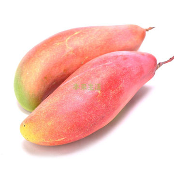 【本来生活】海南大象牙芒果1粒装约500g