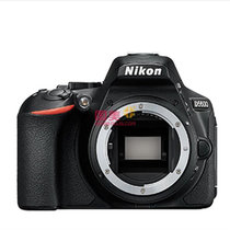 尼康（Nikon）D5600单机身(官方标配)