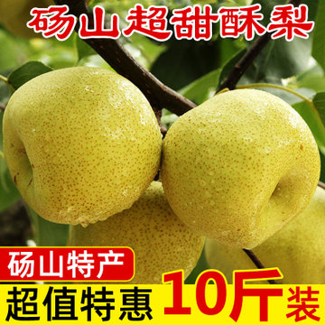安徽正宗砀山梨酥梨水果梨子新鲜10斤贡梨整箱砀山梨雪梨安徽特产砀山